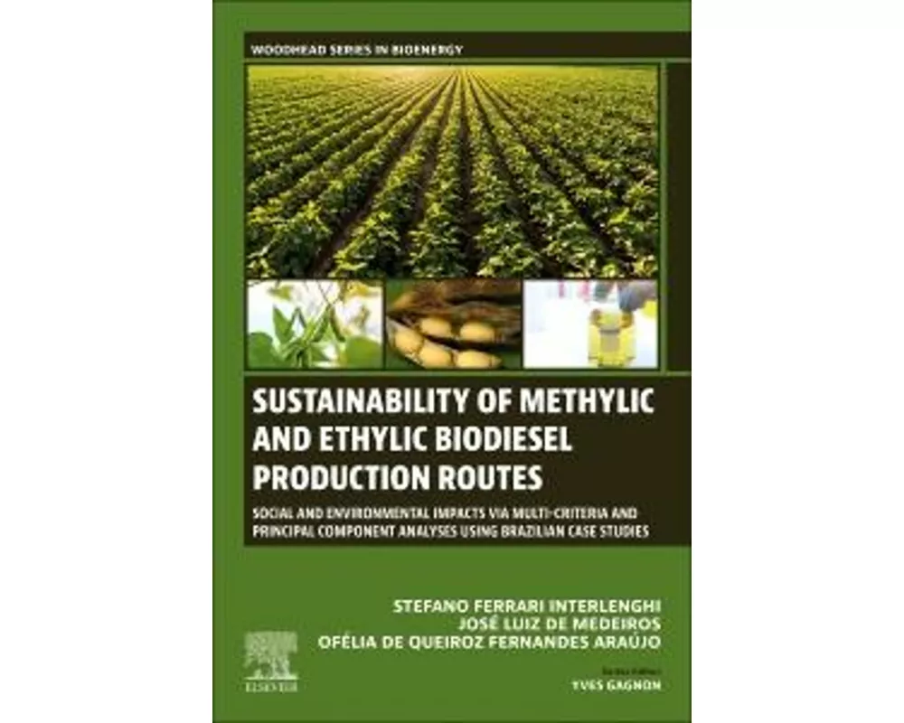 Sustainability of Methylic and Ethylic Biodiesel Production Routes