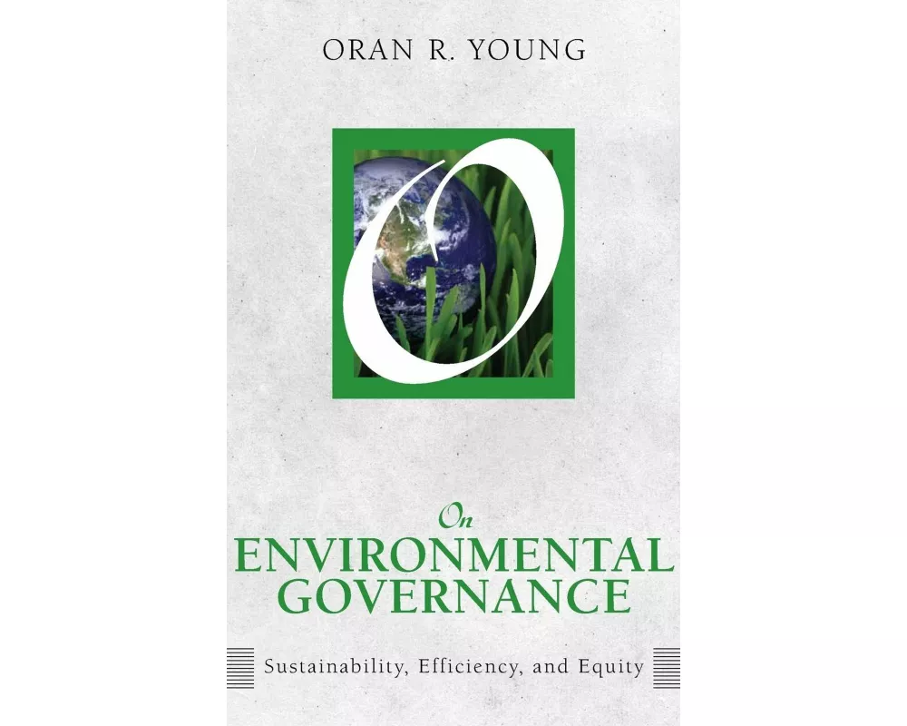 On Environmental Governance