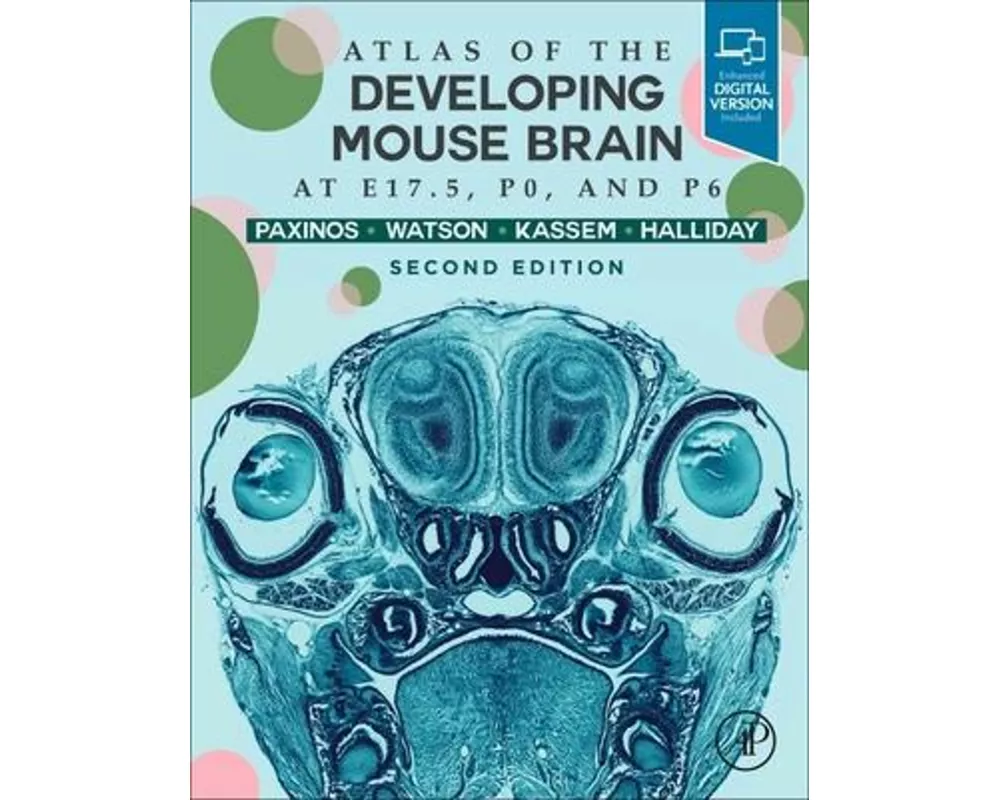 Atlas of the Developing Mouse Brain