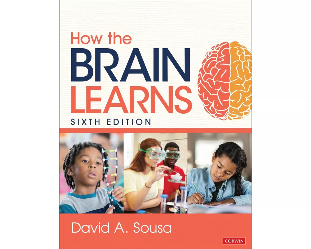 How the Brain Learns