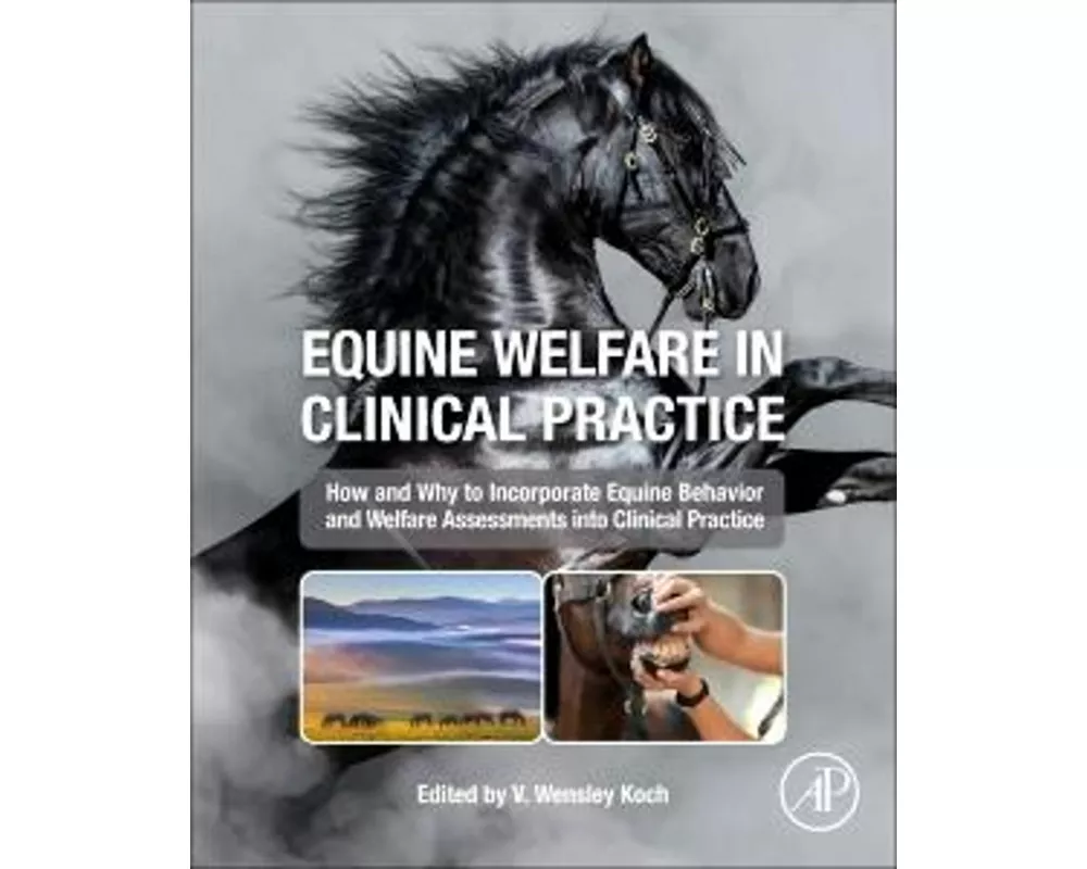 Equine Welfare in Clinical Practice