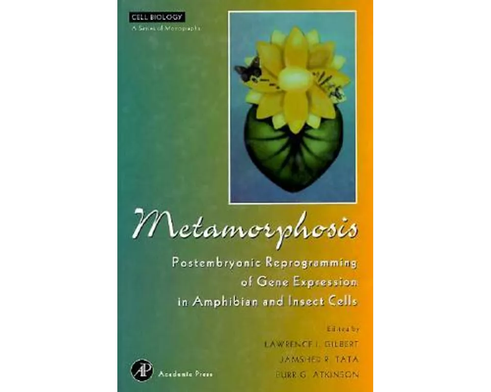 Metamorphosis