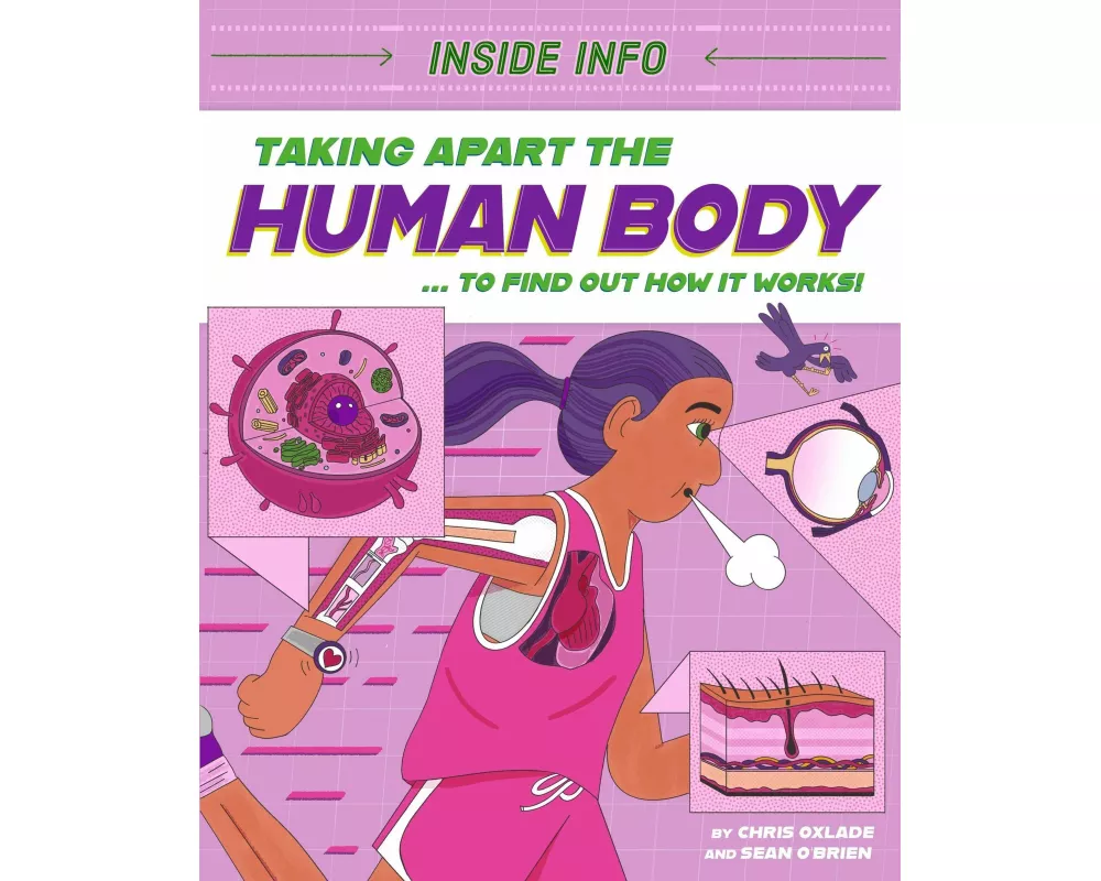 Inside Info: Taking Apart the Human Body