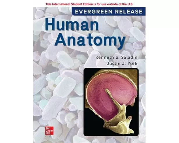 Human Anatomy: 2024 Release ISE