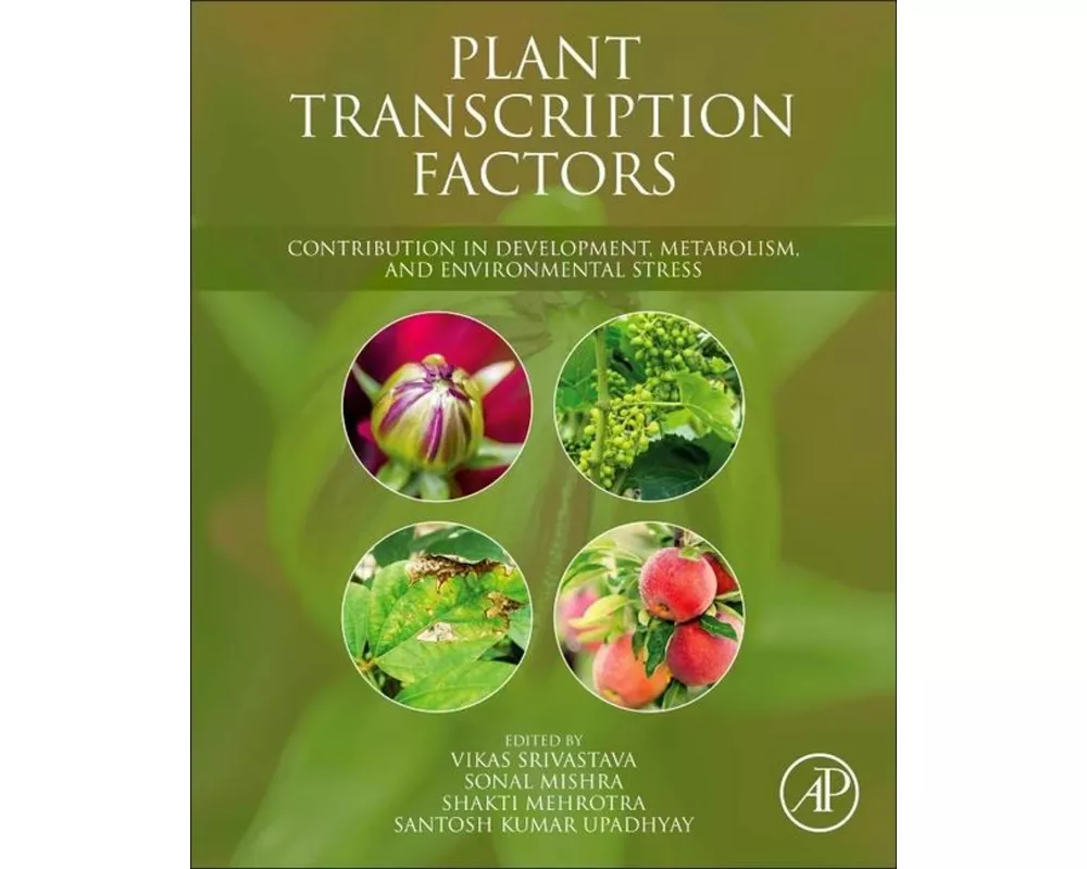Plant Transcription Factors