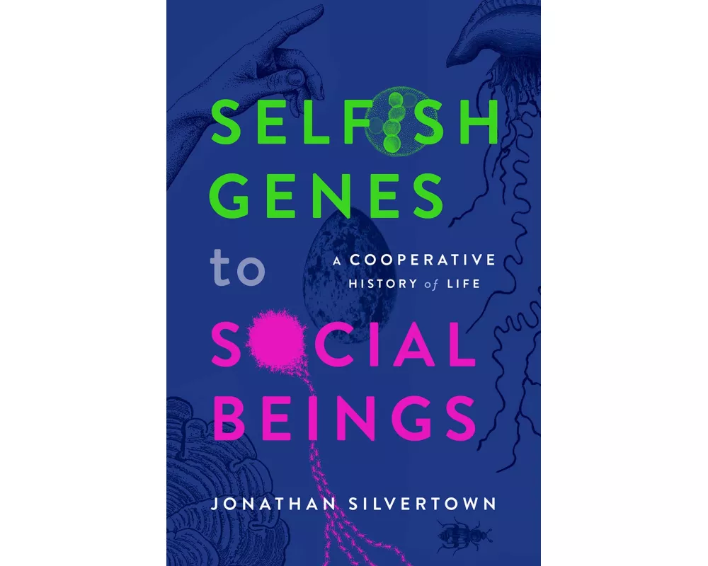 Selfish Genes to Social Beings