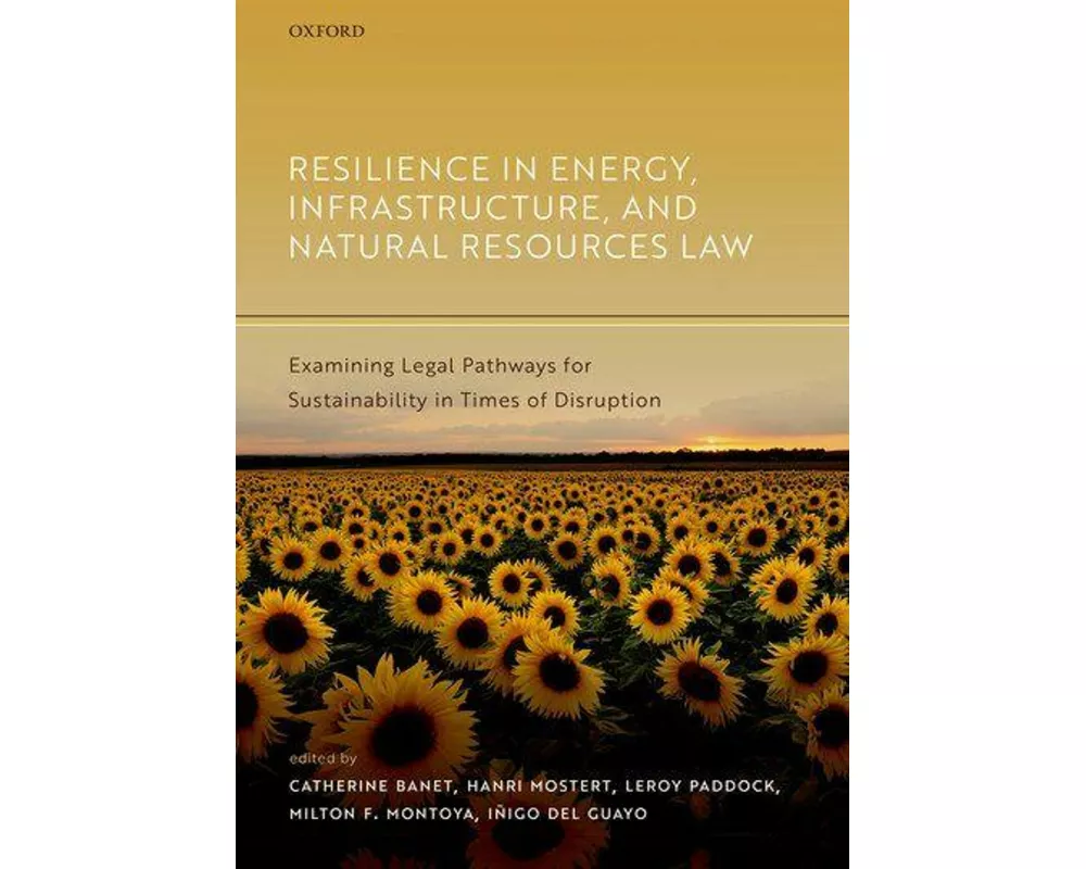 Resilience in Energy, Infrastructure, and Natural Resources Law