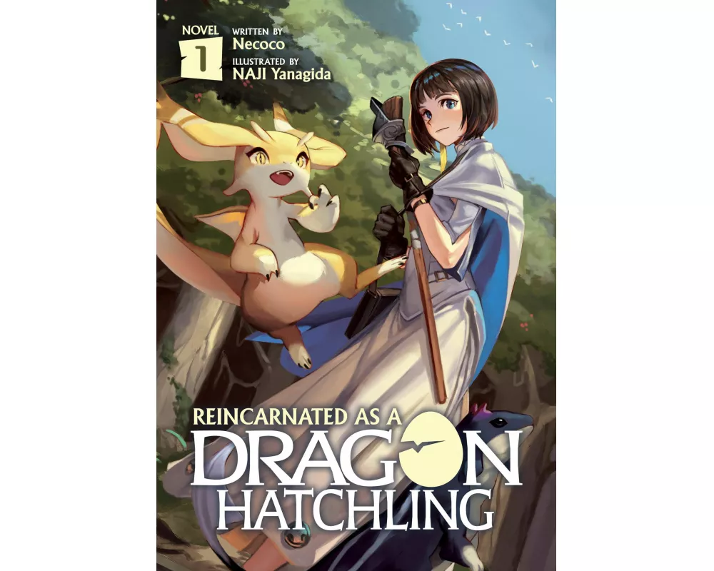 Reincarnated as a Dragon Hatchling (Light Novel) Vol. 1