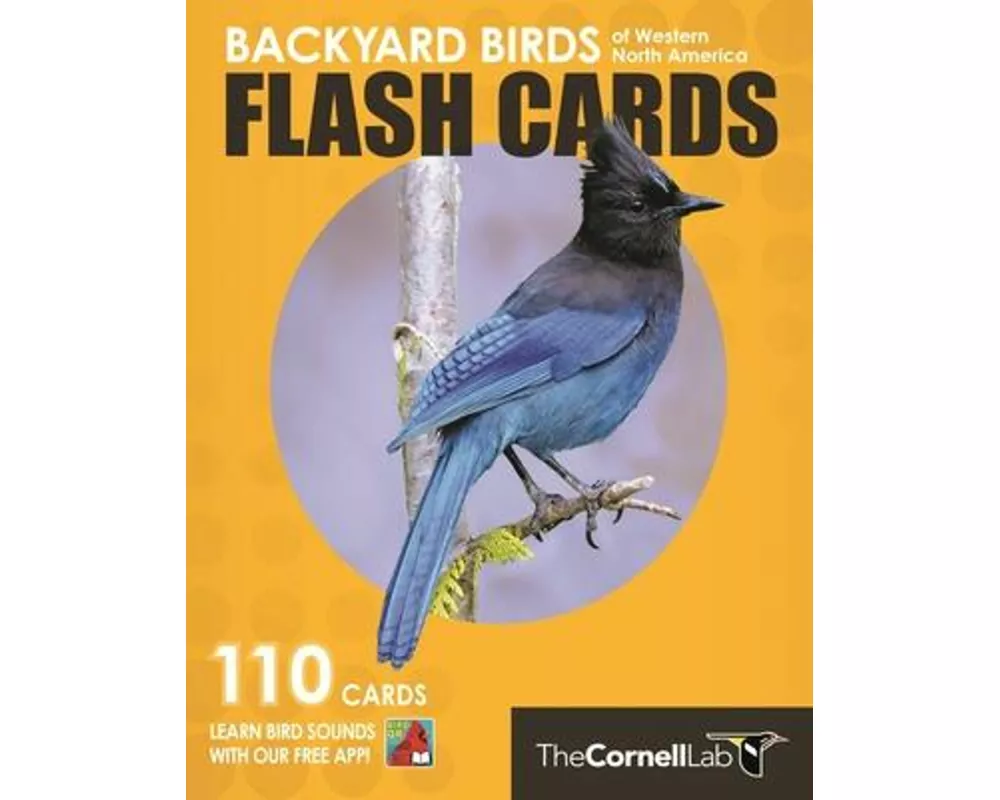 Backyard Birds Flash Cards - Western North America