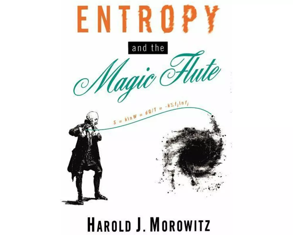 Entropy and the Magic Flute