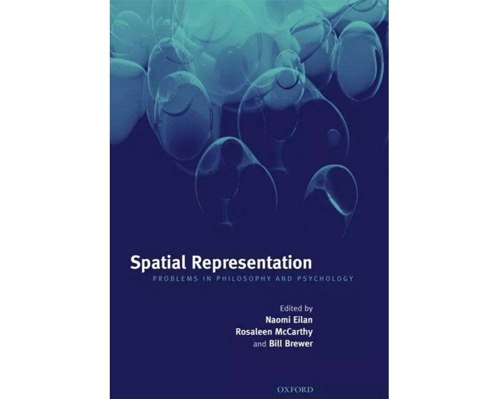Spatial Representation
