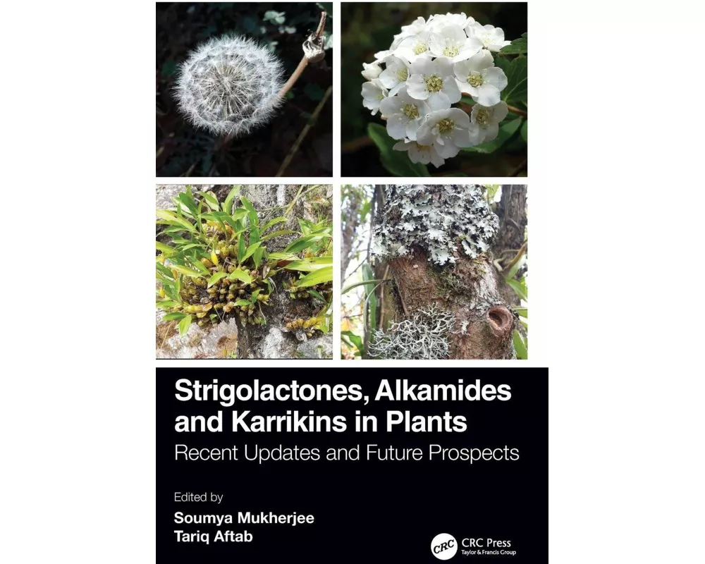 Strigolactones, Alkamides and Karrikins in Plants