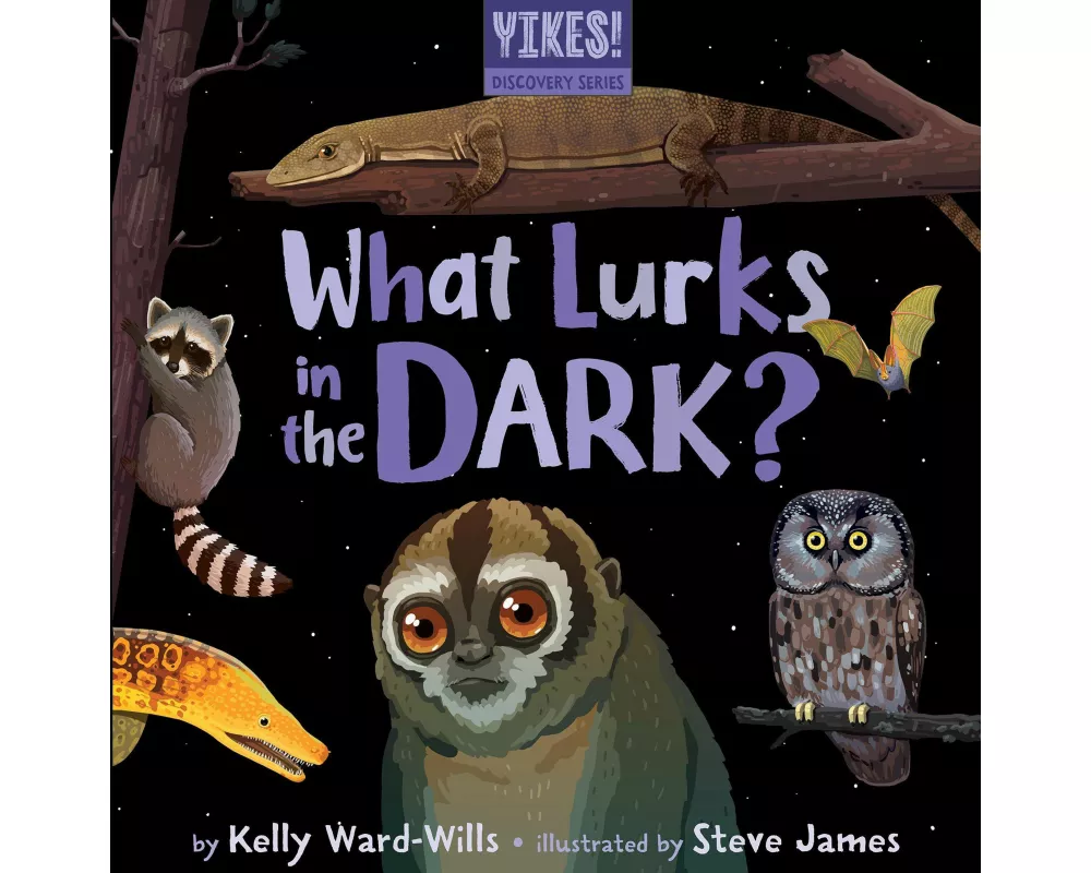 What Lurks in the Dark?