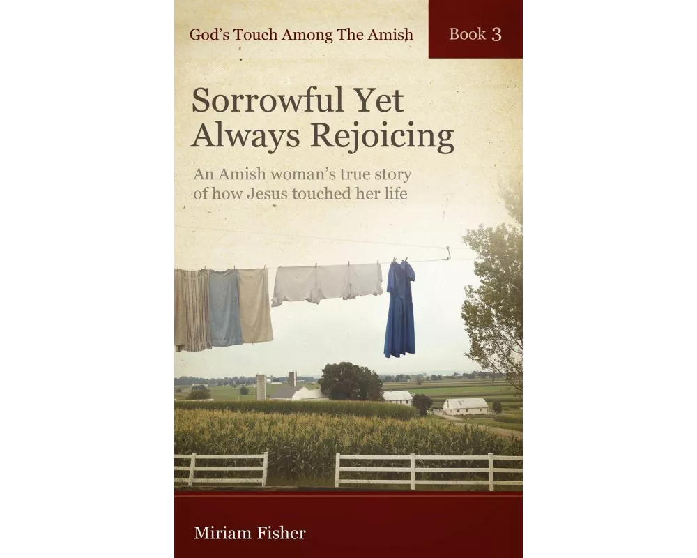 God's Touch Among the Amish Book 3