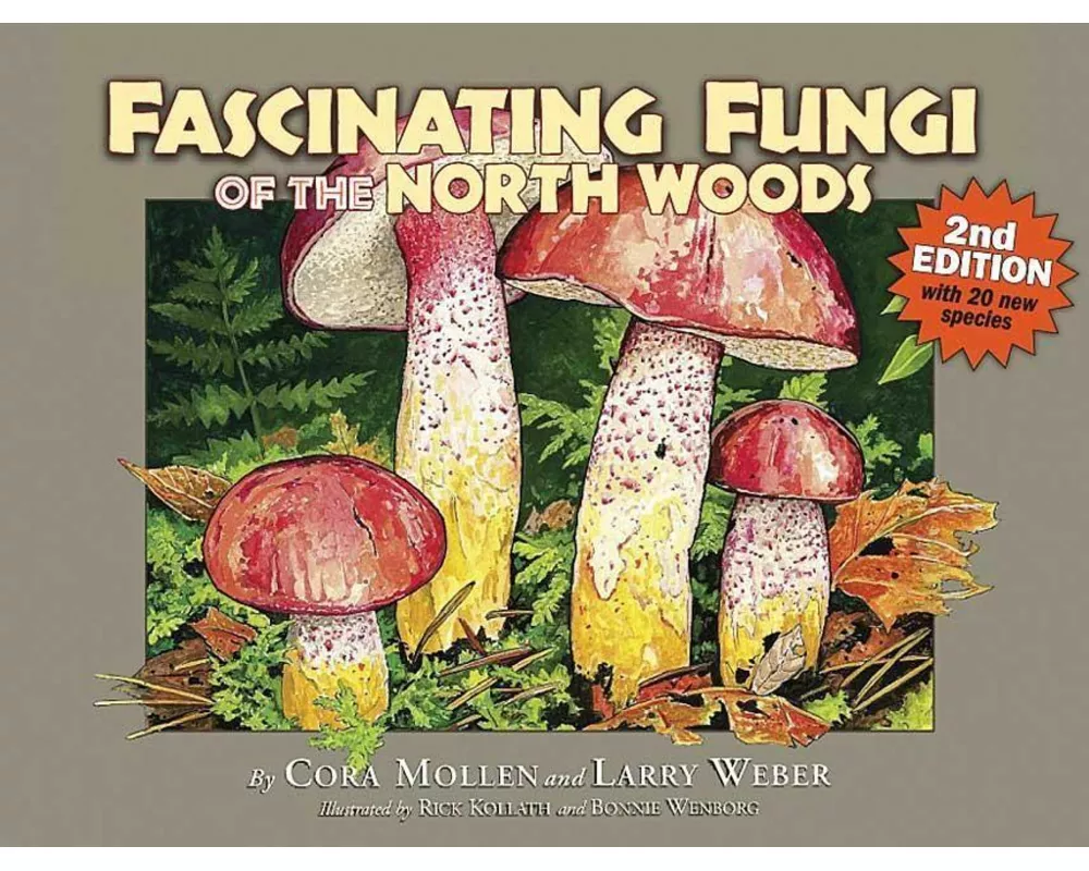 Fascinating Fungi of the North Woods