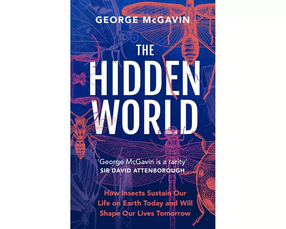 The Hidden World