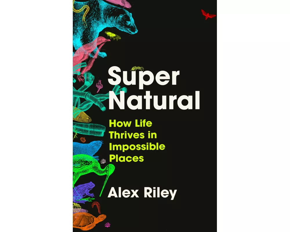 Super Natural