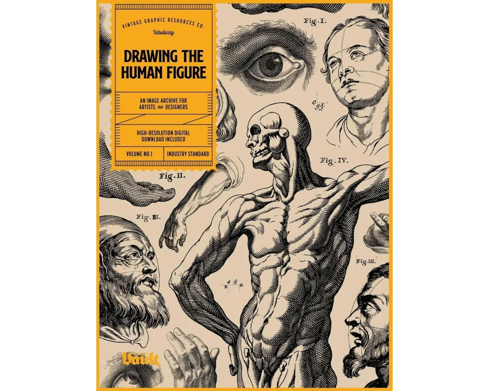 Drawing the Human Figure