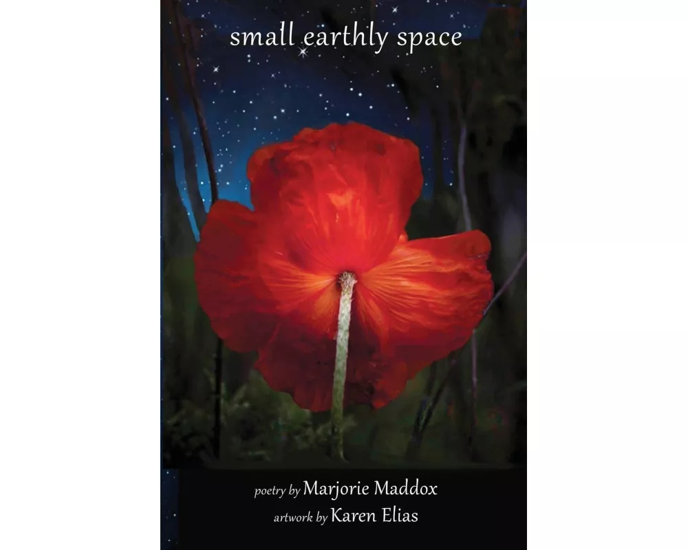 Small Earthly Space
