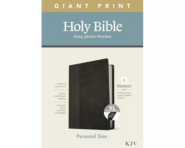 KJV Personal Size Giant Print Bible, Filament Enabled Edition (Leatherlike, Black/Onyx, Indexed)