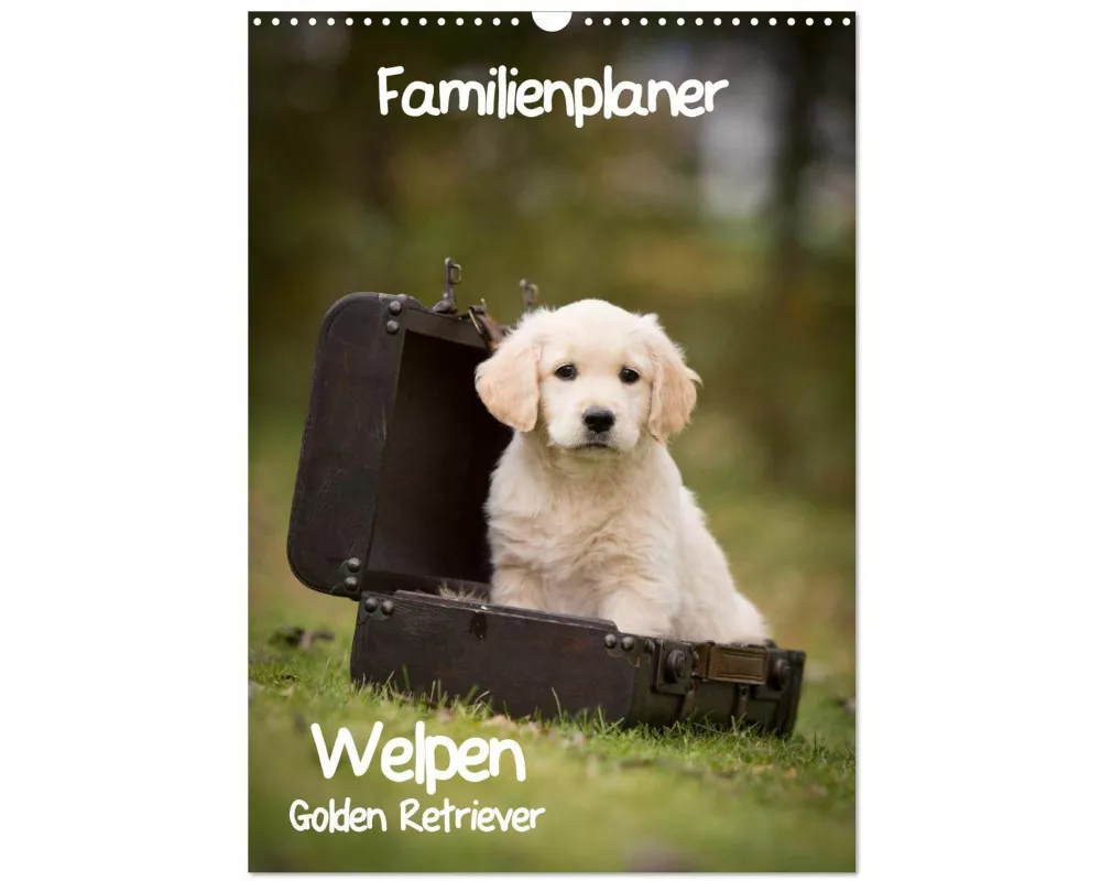 Familienplaner: Golden Retriever Welpen (Wandkalender 2026 DIN A3 hoch), CALVENDO Monatskalender