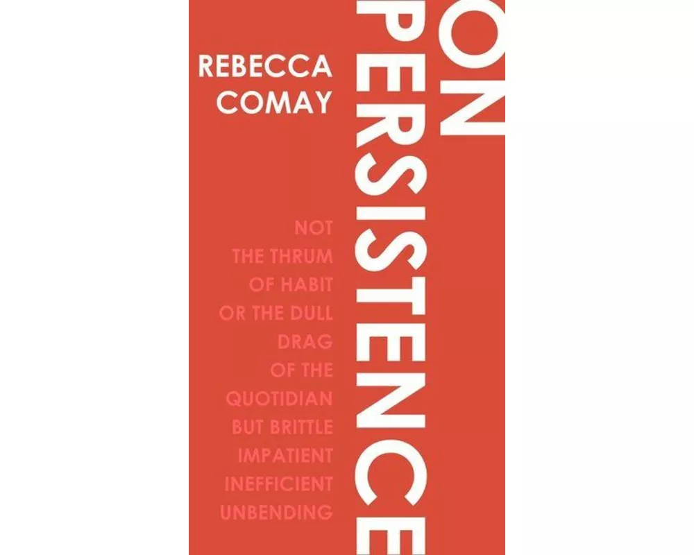 On Persistence