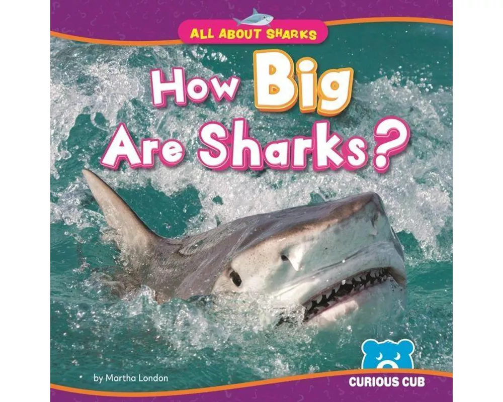 How Big Are Sharks?