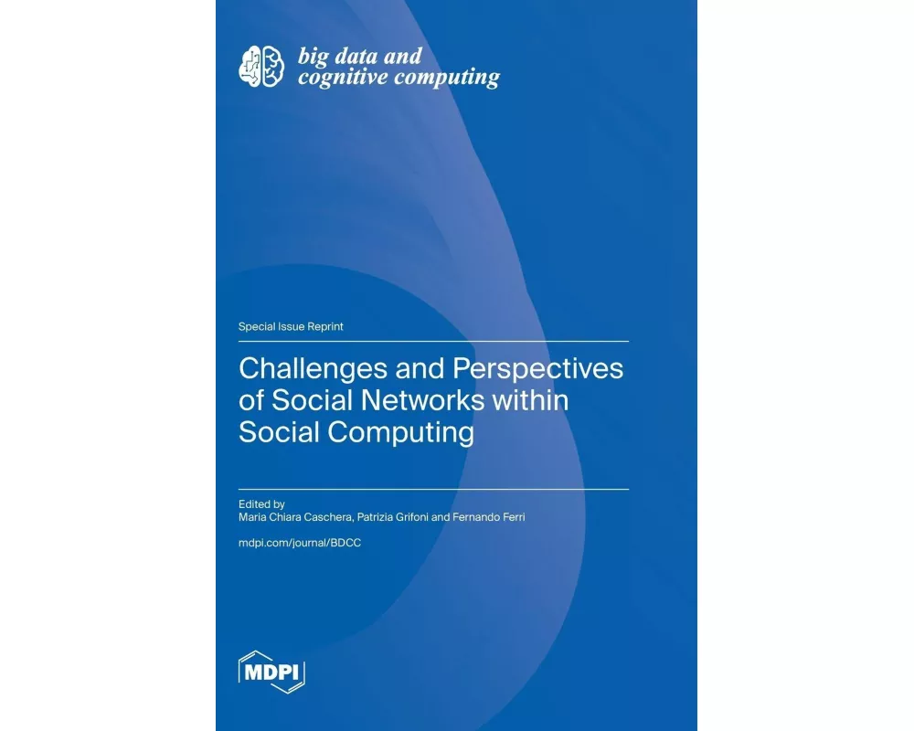 Challenges and Perspectives of Social Networks within Social Computing