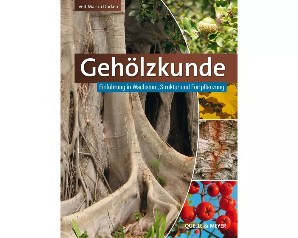 Gehölzkunde