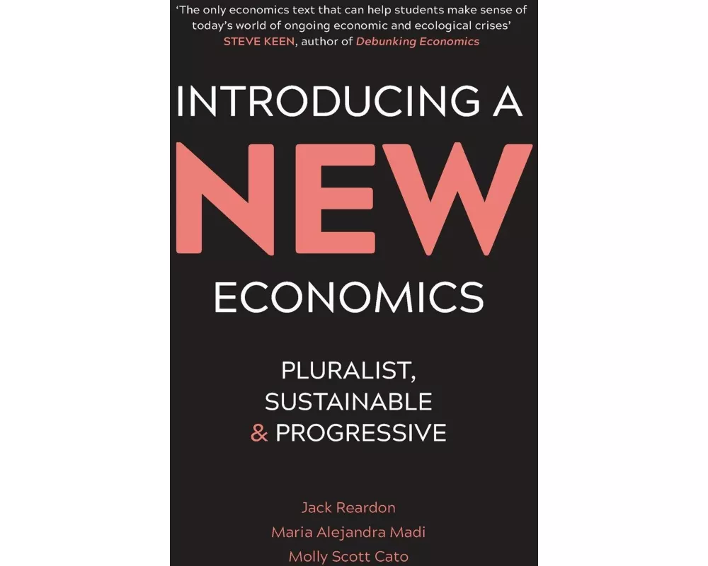 Introducing a New Economics