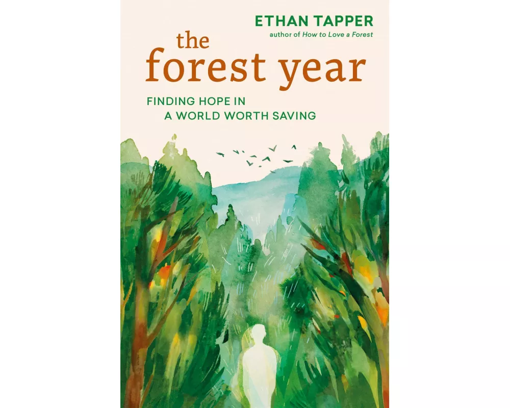 The Forest Year