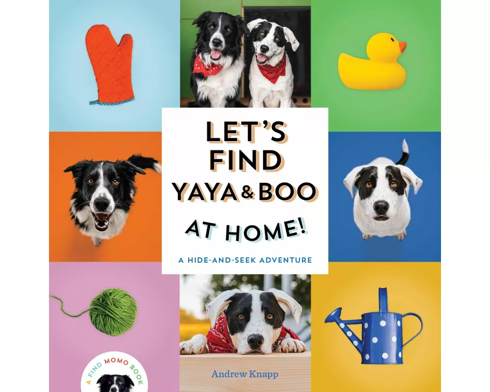 Let's Find Yaya and Boo at Home!