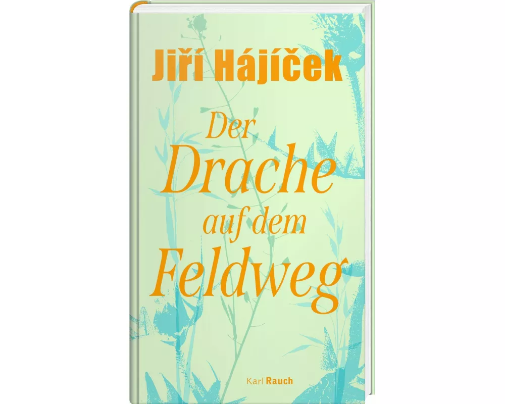 Der Drache auf dem Feldweg