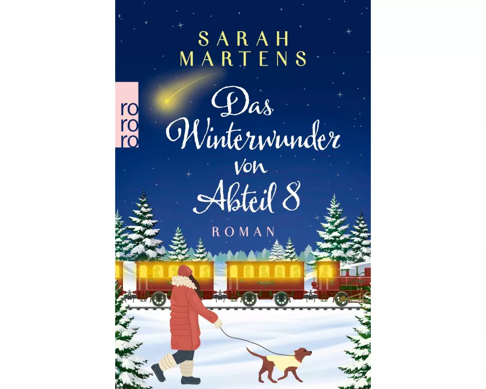 Das Winterwunder von Abteil 8