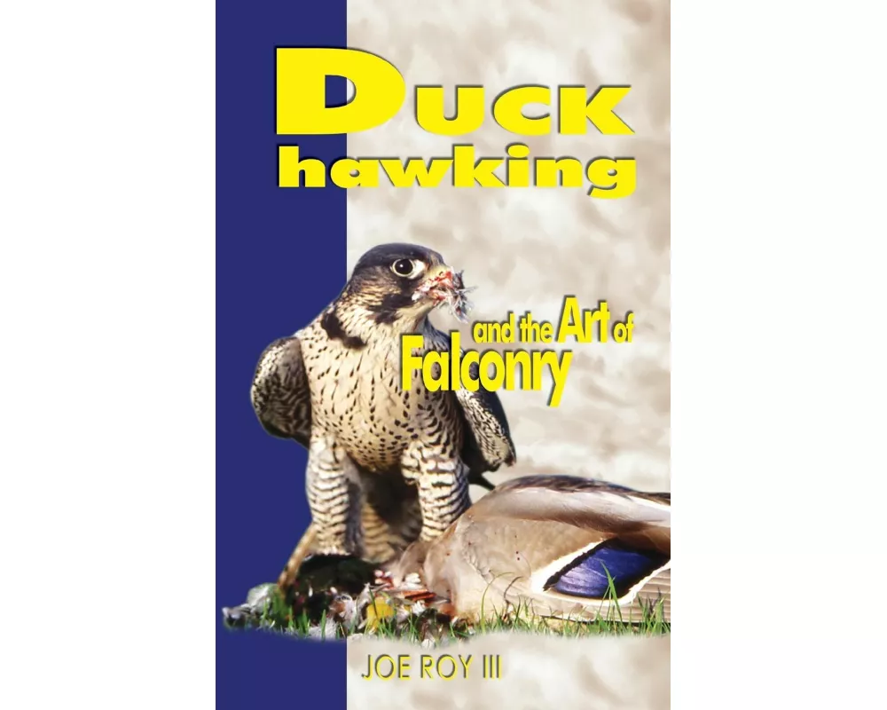 Duck Hawking