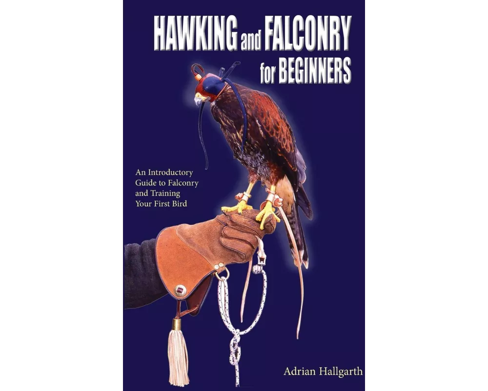 Hawking and Falconry for Begginers
