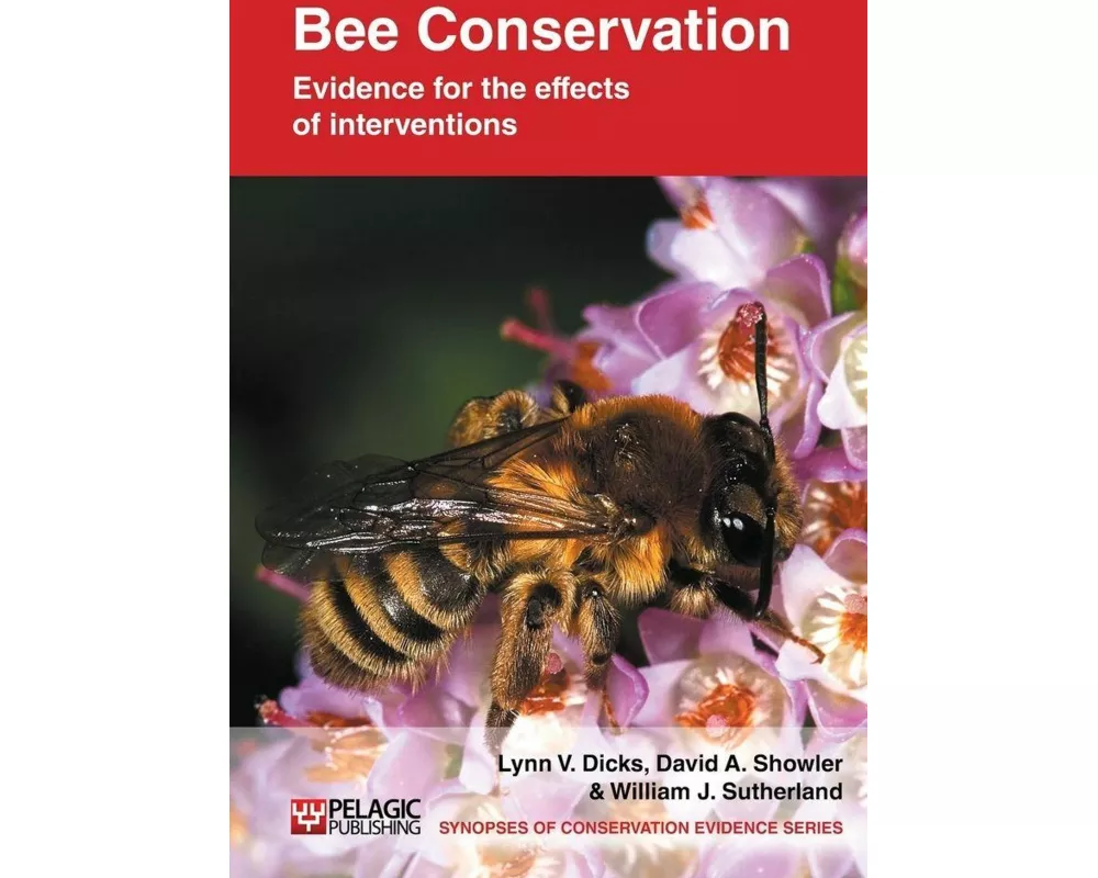 Bee Conservation