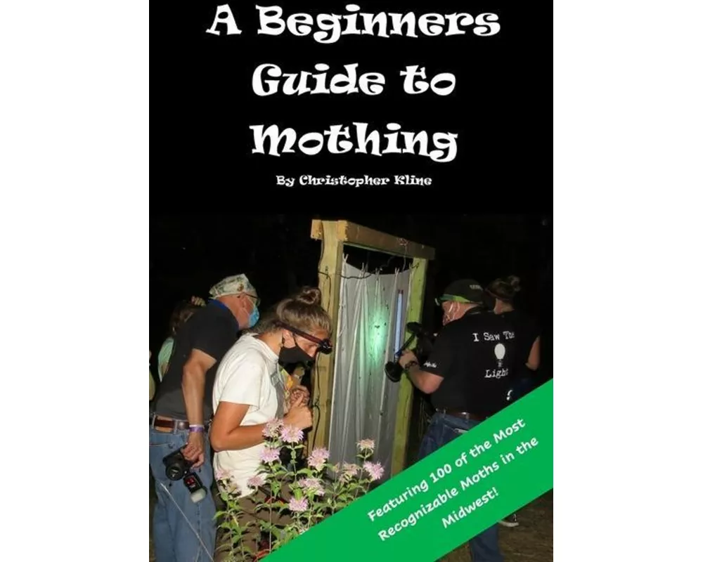 A Beginners Guide to Mothing