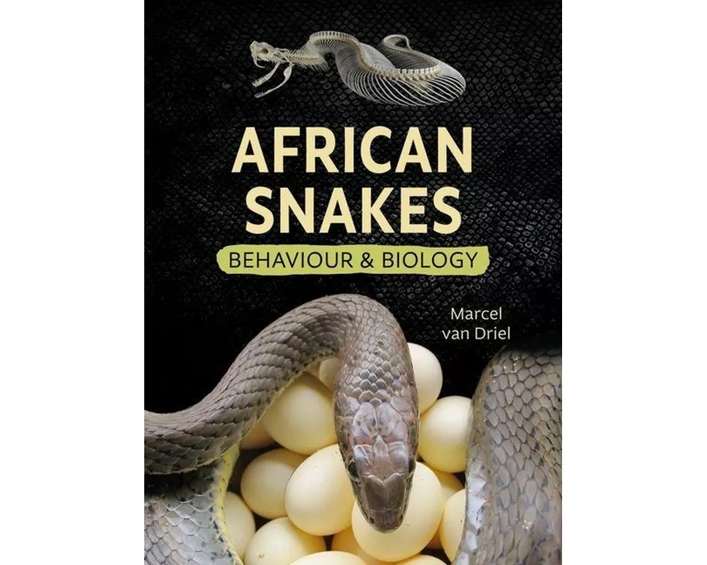African Snakes