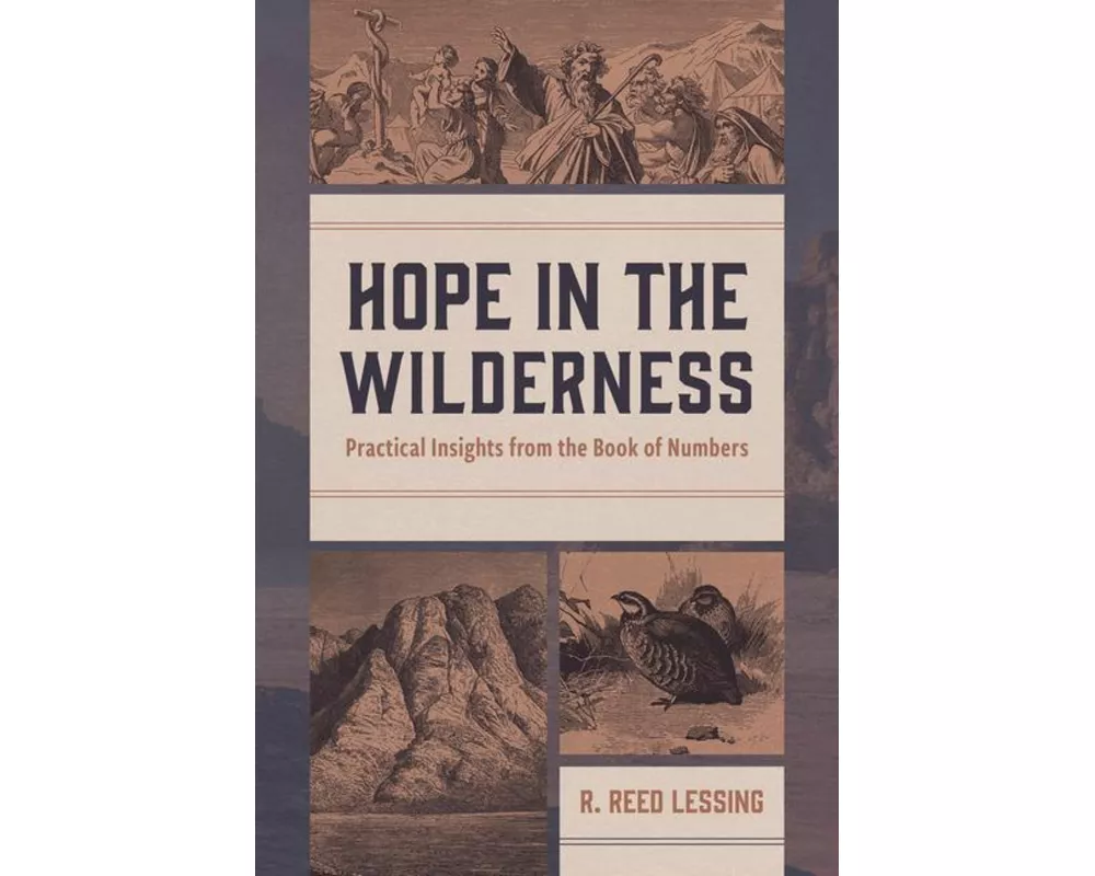 Hope in the Wilderness