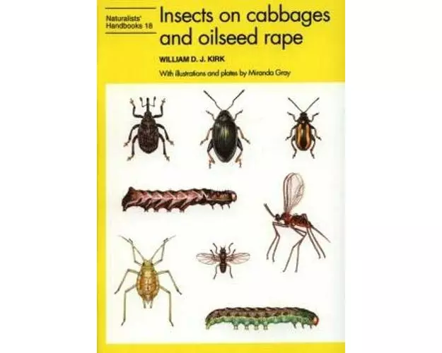 Insects on cabbages and oilseed rape