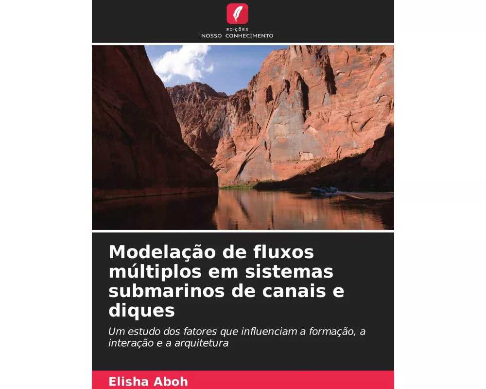 Modelação de fluxos múltiplos em sistemas submarinos de canais e diques