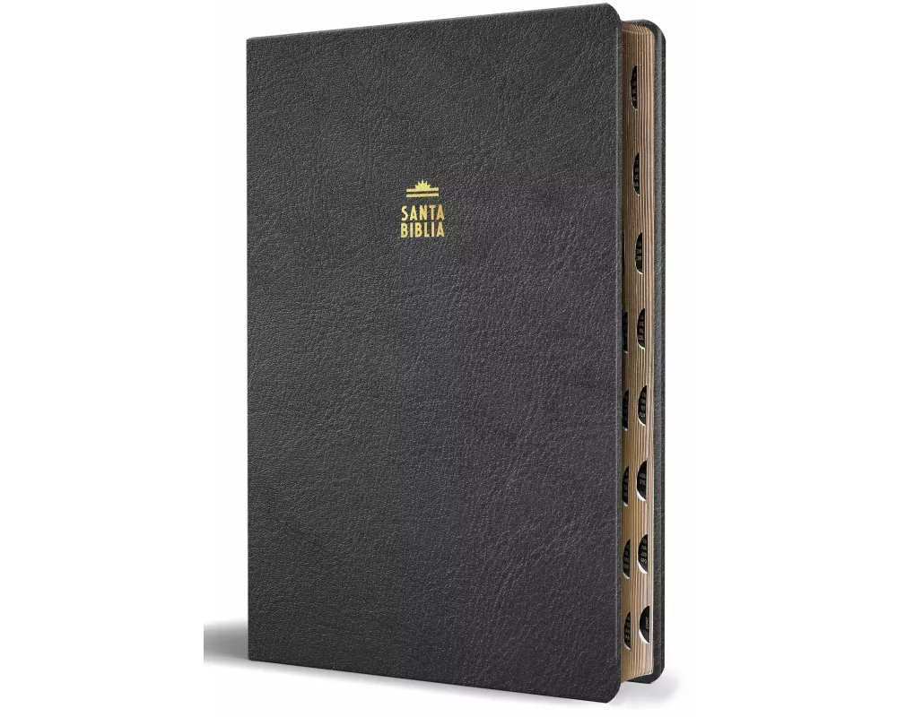 Biblia Reina Valera letra gigante, símil piel negro con índice / Spanish Bible Reina Valera Giant Print, Black Leathersoft with Index