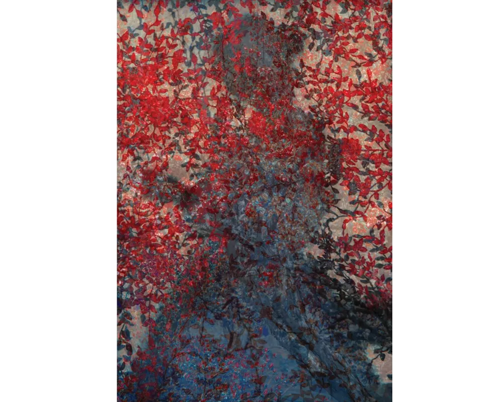 The Tapestry