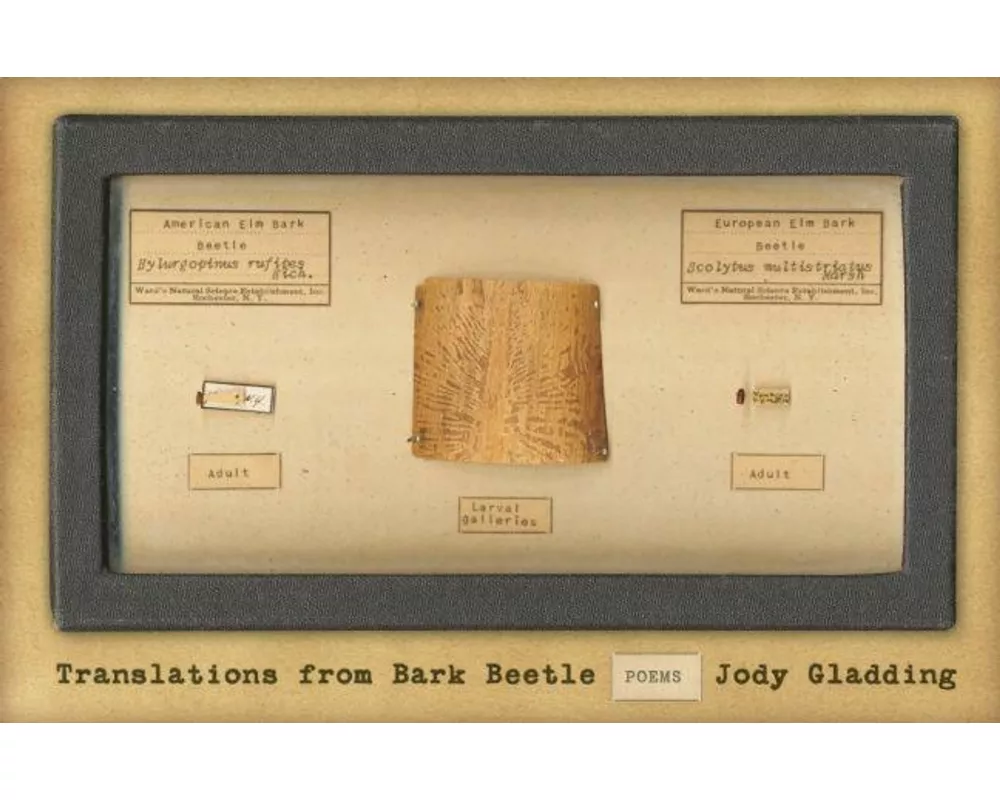 Translations from Bark Beetle