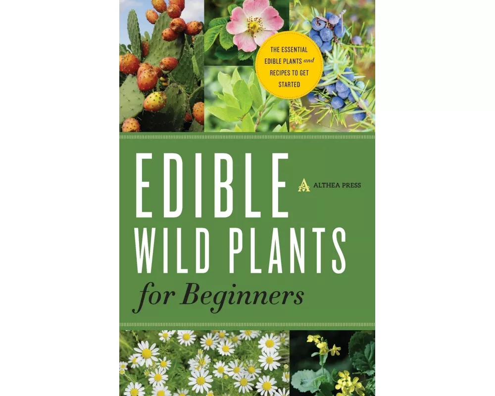 Edible Wild Plants for Beginners