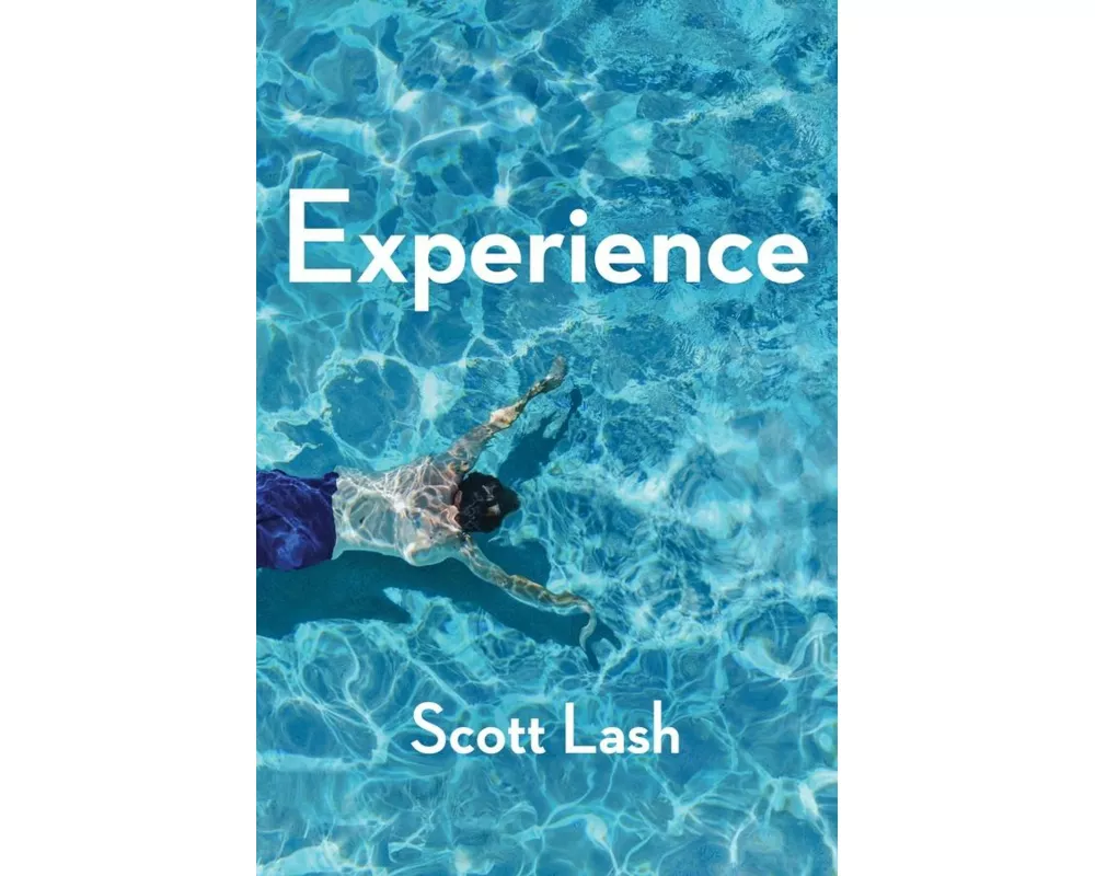 Experience