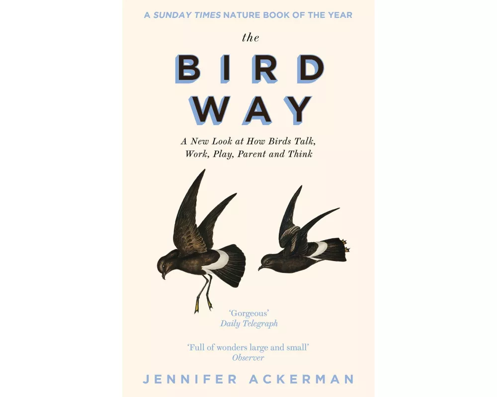 The Bird Way