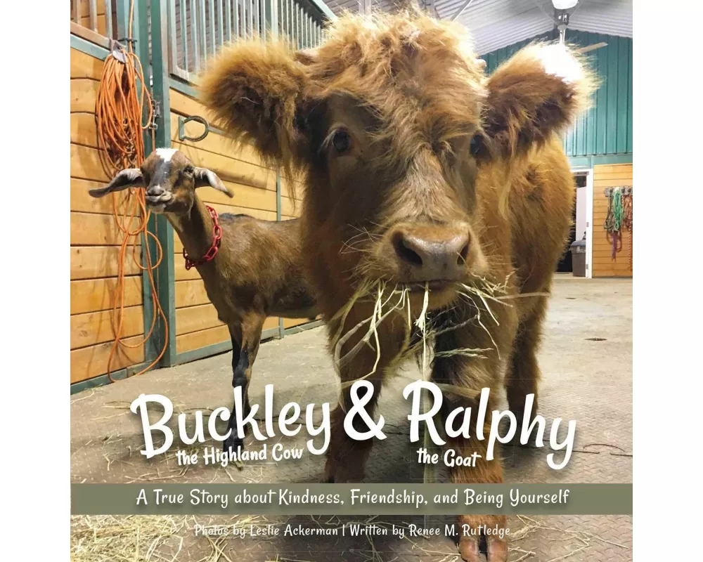 Buckley the Highland Cow and Ralphy the Goat
