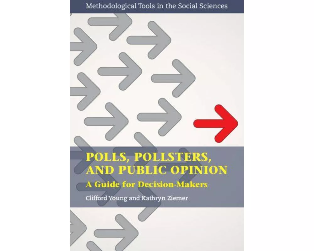 Polls, Pollsters, and Public Opinion